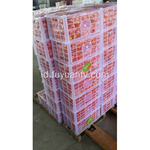 Bayi mandarin segar dari kota Nanfeng